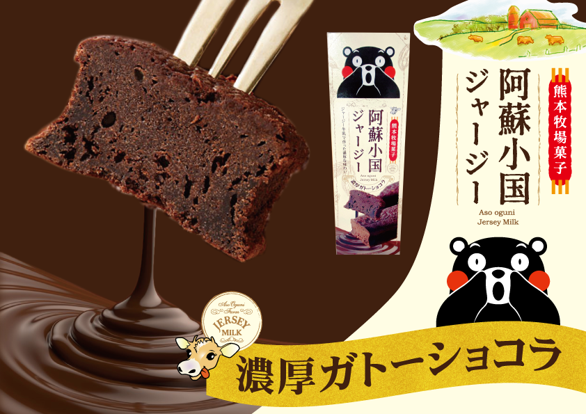 阿蘇小国ジャージー牛乳 くまモン箱入り濃厚ガトーショコラ | くまもと